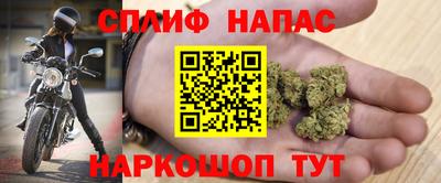 таблы Новозыбков