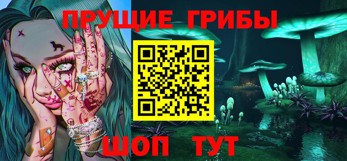 Рубцовск  Псилоцибиновые грибы прущие грибы  Вход с VPN  Псилоцибиновые грибы Magic Shrooms 